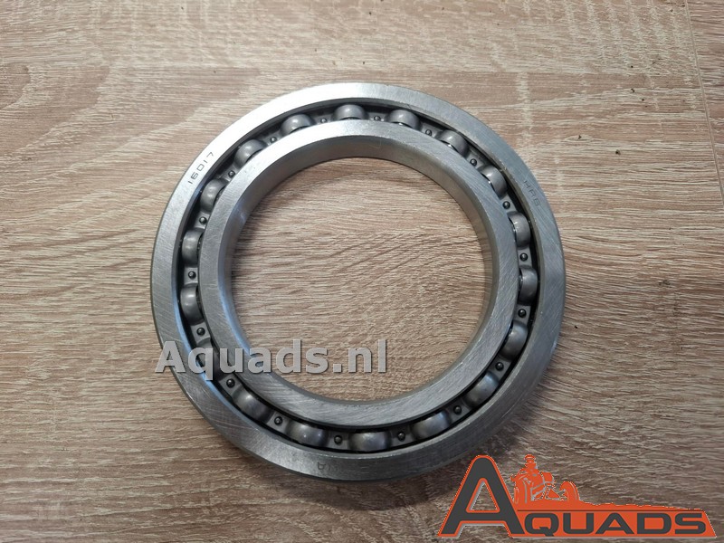 Bearing rear gear housing